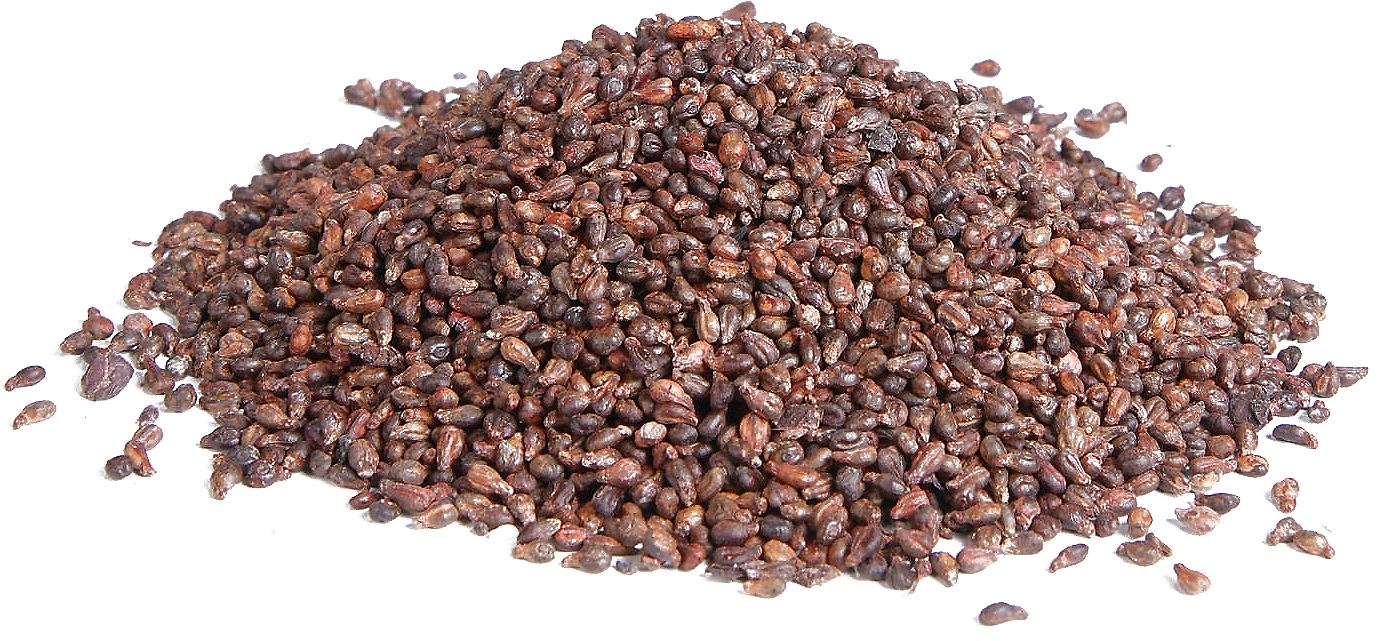 grape seeds